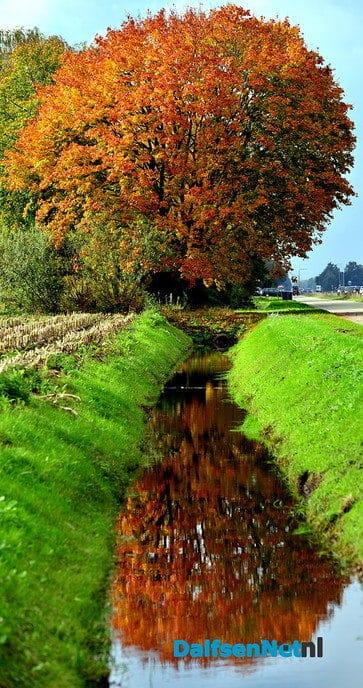 De herfstkleuren zijn er weer - Foto: Ben Jonkman