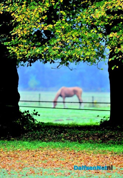 Wandelende fotograaf - Foto: Ben Jonkman
