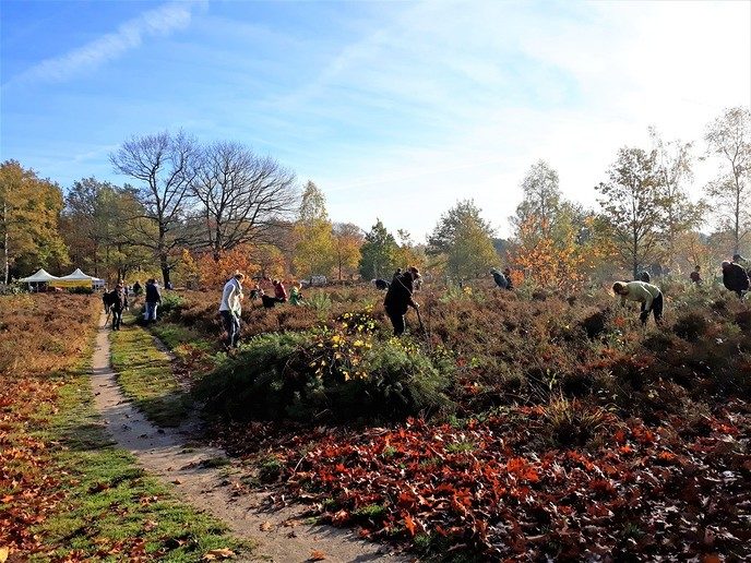 Natuurwerkdag Boswachterij Staphorst - Foto: Ingezonden foto