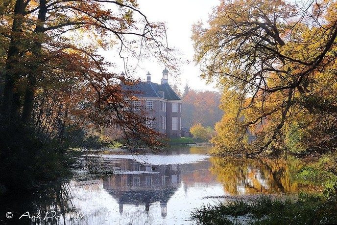 Foto van de maand van Ank - Foto: Ank Pot