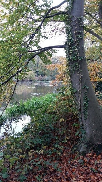 Ook op Landgoed Den Berg is de herfst prachtig - Foto: Ingezonden foto