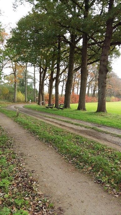 Ook op Landgoed Den Berg is de herfst prachtig - Foto: Ingezonden foto