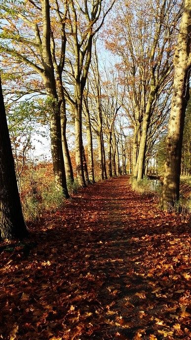 Met mooi weer: even de Horte op - Foto: Ingezonden foto