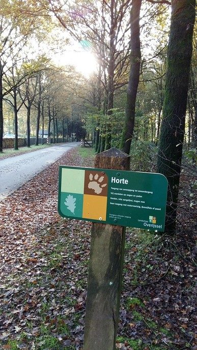 Met mooi weer: even de Horte op - Foto: Ingezonden foto