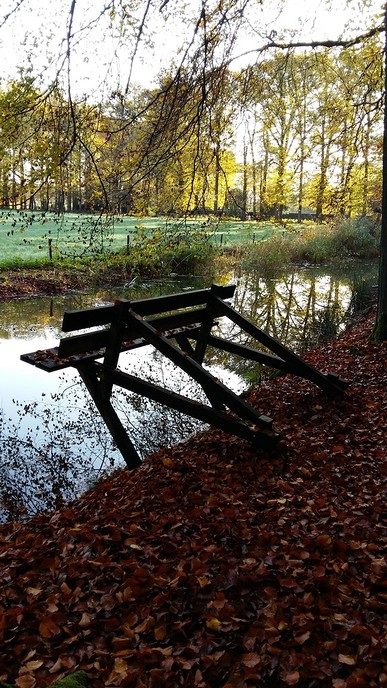 Met mooi weer: even de Horte op - Foto: Ingezonden foto