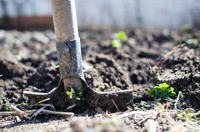 Toen de tuin nog gewoon ‘buiten’ was