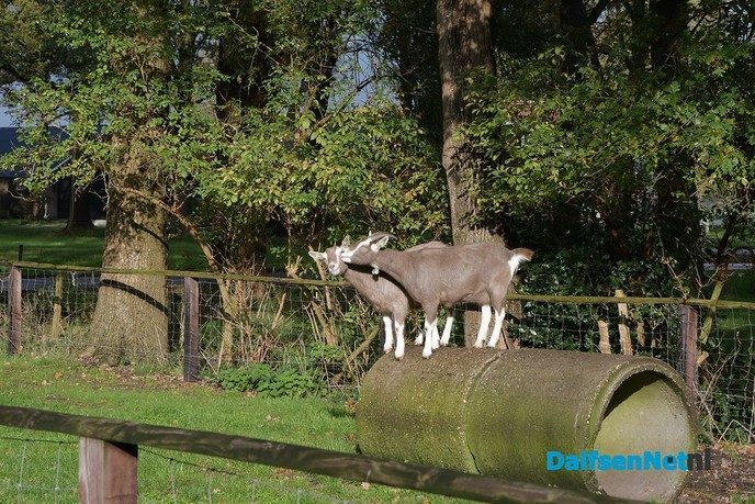 Het college bezoekt zorgboerderij Het Ruitenveen - Foto: Johan Bokma