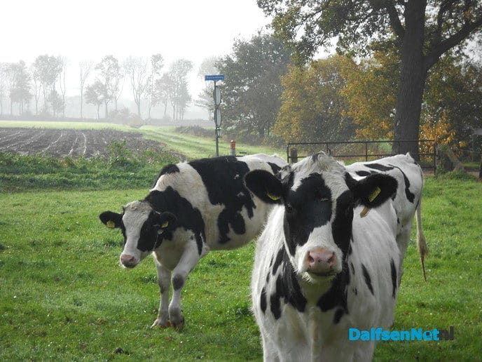 De mist trekt weg en de zon komt terug