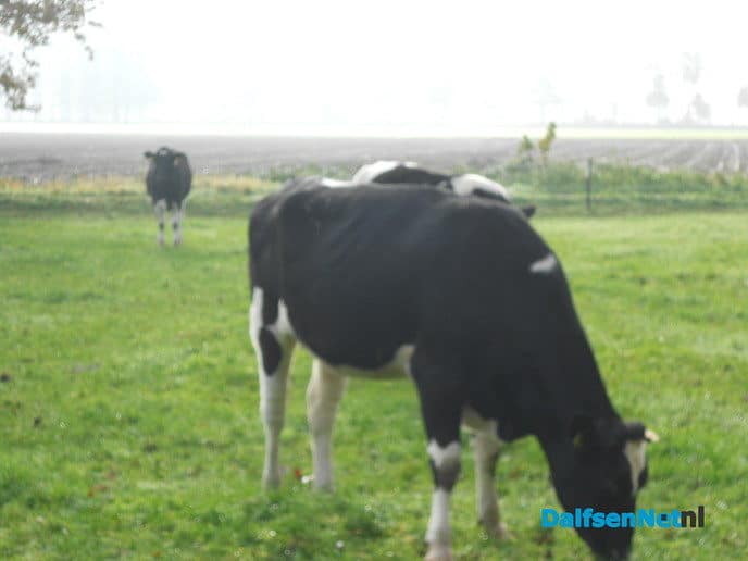 De mist trekt weg en de zon komt terug