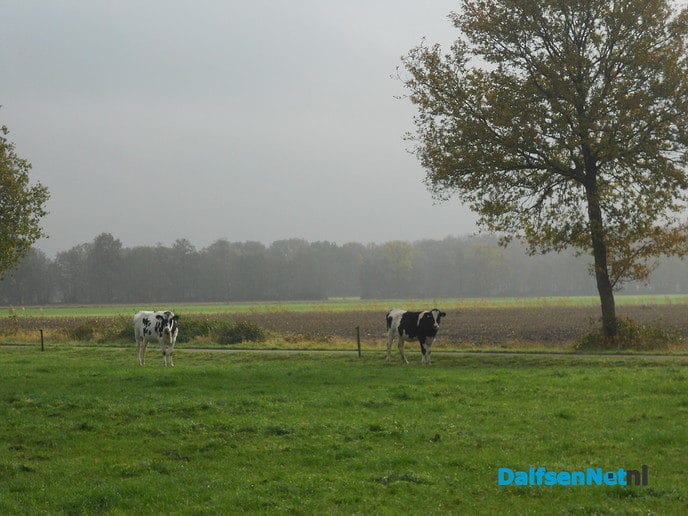 De mist trekt weg en de zon komt terug
