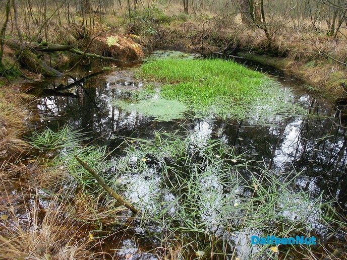 Schuilplek natuurfotograaf