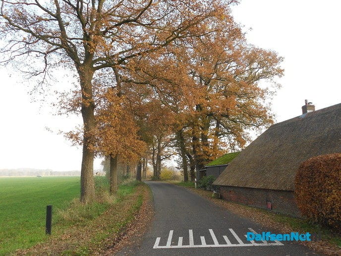 Het blijft mooi als de zon er op schijnt