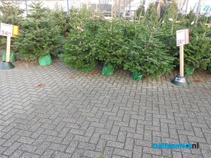 De kerstboomhandel al bezig