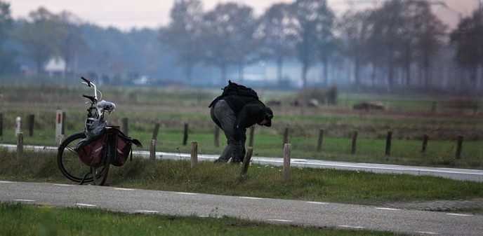 Dit verdient echt een dikke pluim - Foto: Eigen geleverde foto