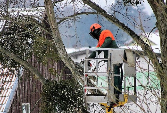 Waterschap flink aan het snoeien - Foto: Eigen geleverde foto
