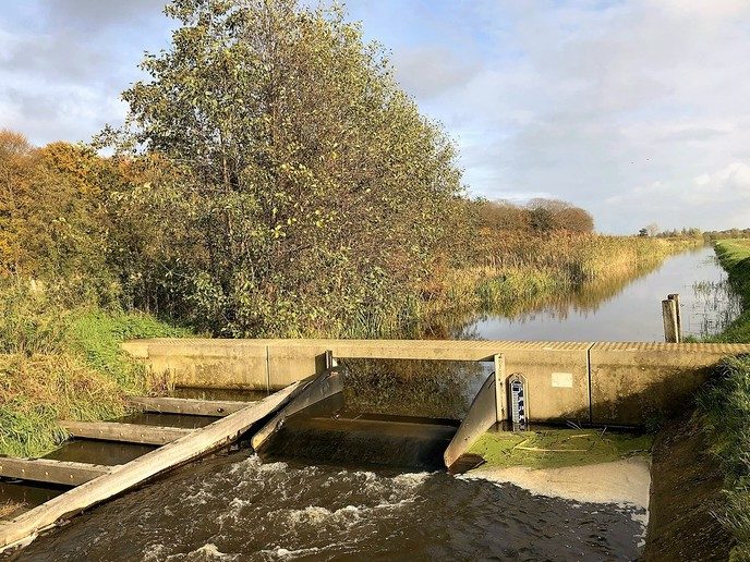 Droogte achter de rug, grondwaterstanden hersteld - Foto: Eigen geleverde foto