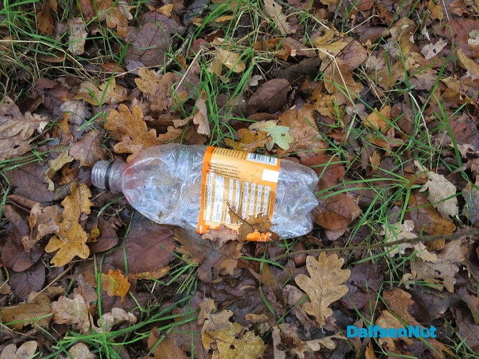 Hier eindigt Halloween - Foto: Wim