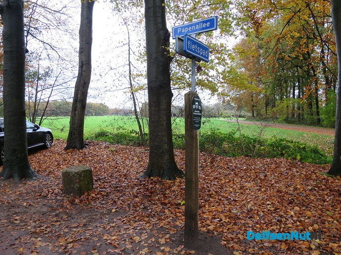 Bentheimer stenen voor het DNA Hoonhorst geplaatst - Foto: Wim