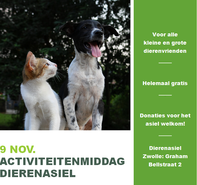 9 nov. Activiteitenmiddag dierenasiel - Foto: Eigen geleverde foto