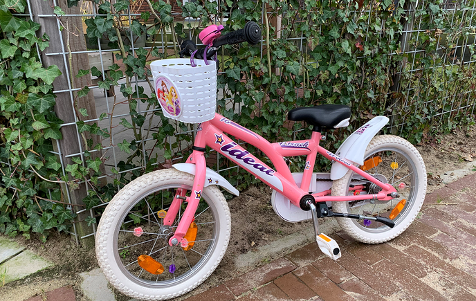 Wie mist er een kinderfietsje ? - Foto: Ingezonden foto