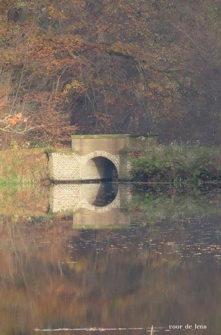 @voor_de_lens  - Foto: Ingezonden foto
