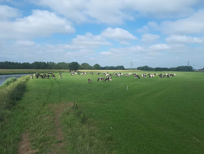 Stip aan de horizon voor ons buitengebied - Foto: Eigen geleverde foto