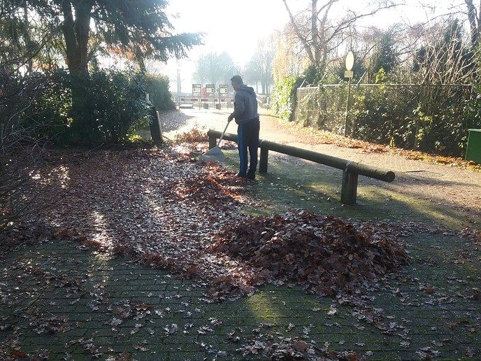 Het is toch wat, al dat blad - Foto: Eigen geleverde foto