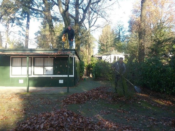 Het is toch wat, al dat blad - Foto: Eigen geleverde foto