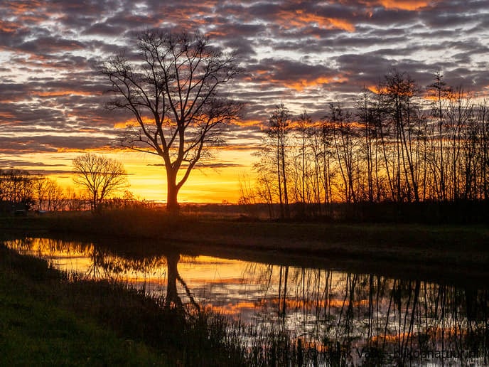 Zwolse natuurfotograaf maakte in Dalfsen deze prachtige foto’s - Foto: Ingezonden foto