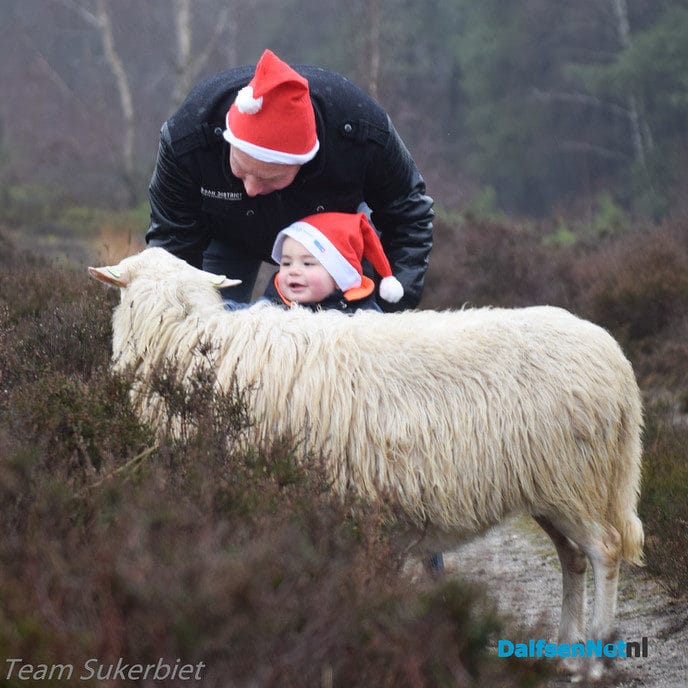 22 dec. kerstwandeling Sukerbiet - Foto: Ingezonden foto