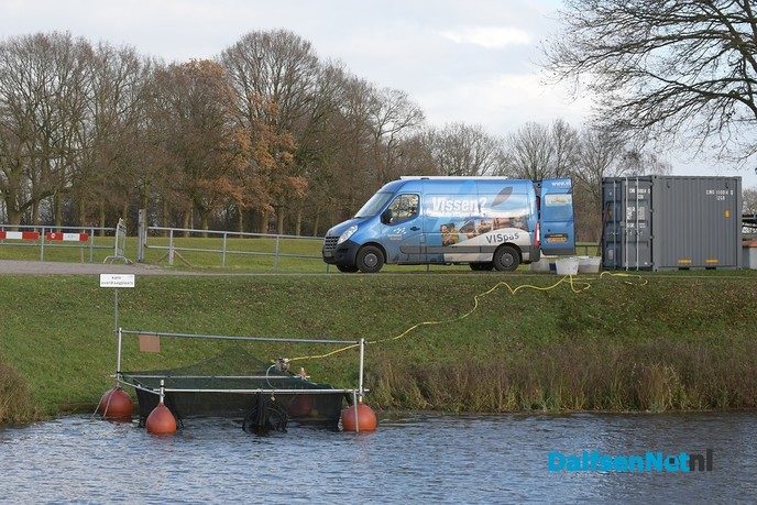 Vismigratie onderzocht, vandaag een kwabaal uit de Vecht - Foto: Johan Bokma