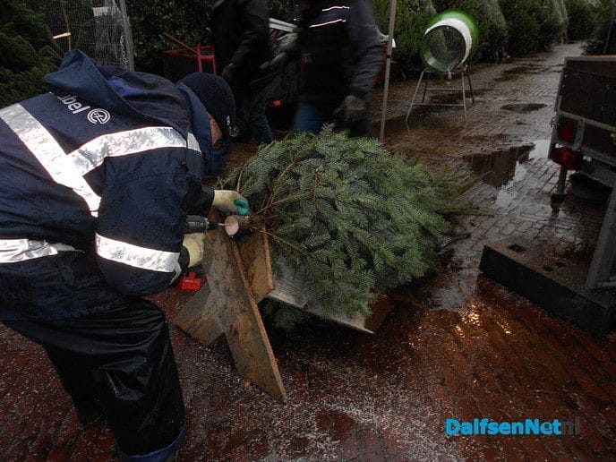 De kerstboommannen flink aan de slag