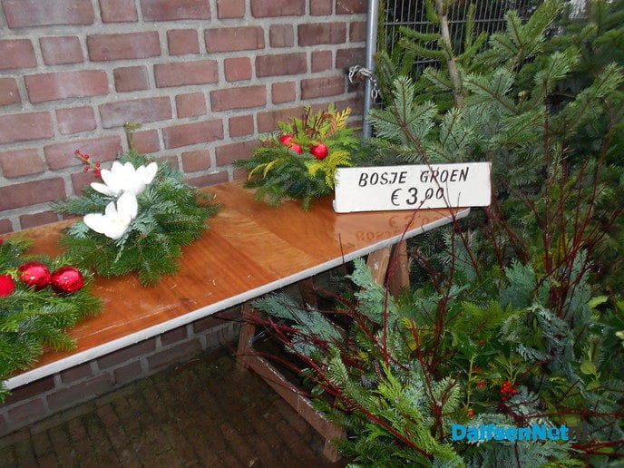 De kerstboommannen flink aan de slag