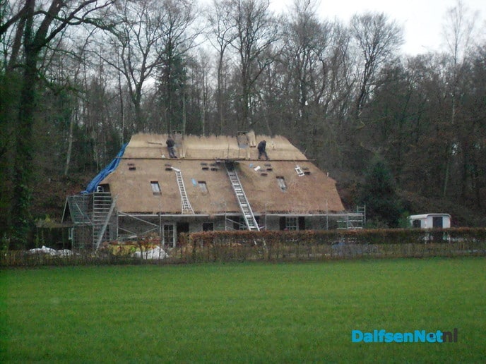 Nieuw (rieten) dak huize Goldsteen