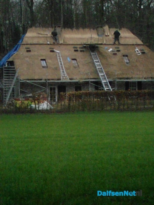 Nieuw (rieten) dak huize Goldsteen