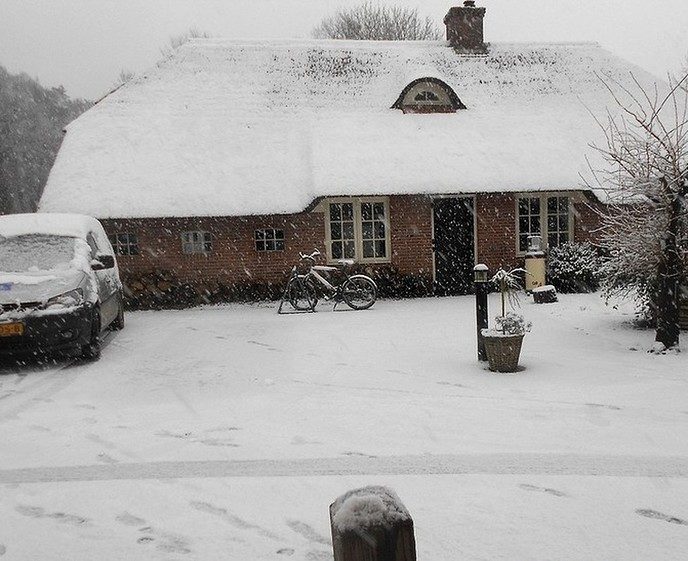 Sterrebos Midwinterwandeling zondag 15 december