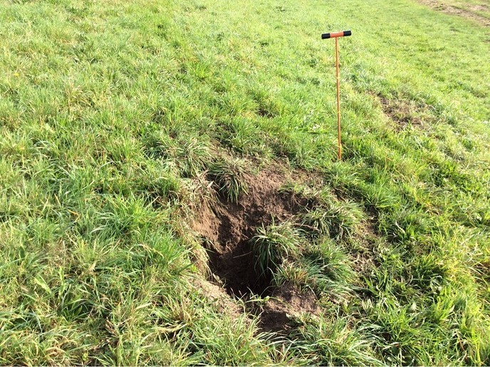 Dijkschade door muizen - Foto: Eigen geleverde foto