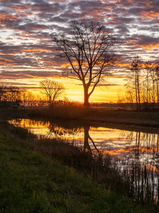 Zwolse natuurfotograaf maakte in Dalfsen deze prachtige foto’s - Foto: Eigen geleverde foto