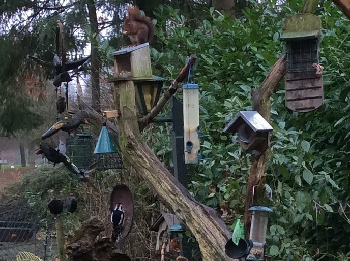 Natuur aan de Stuw - Foto: Eigen geleverde foto