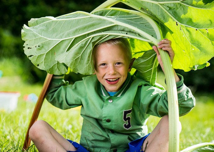 Actie: Gratis groentezaad voor basisscholen - Foto: Eigen geleverde foto