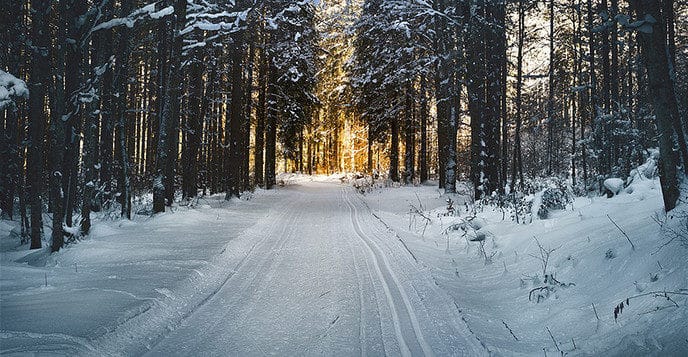 Beleef 2e Kerstdag in het Sterrenbos
