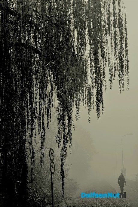 Tekst: zon, mist en vorst - Foto: Ben Jonkman