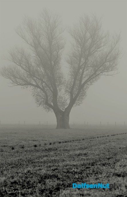 Tekst: zon, mist en vorst - Foto: Ben Jonkman