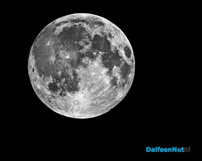 Moonlight shopping bij fit20 - Foto: Ingezonden foto
