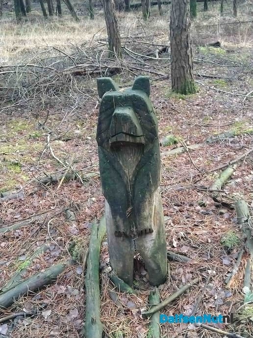 Wolven en … - Foto: Ingezonden foto