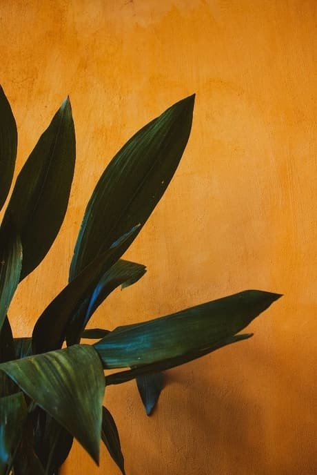 Vier trends om rekening mee te houden in 2020