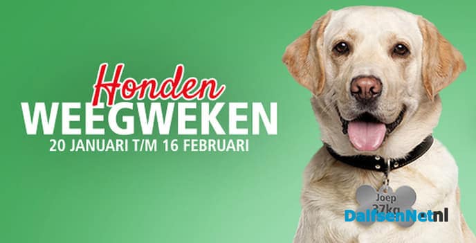 Afvallen: ook voor meeste honden geen overbodige luxe. - Foto: Ingezonden foto