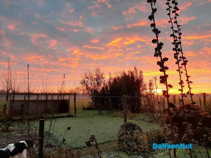 Goeiemorgen, zeg maar mooie morgen - Foto: Ingezonden foto