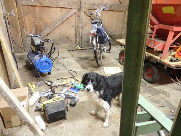 Hond aangetroffen en weer thuis - Foto: Eigen geleverde foto