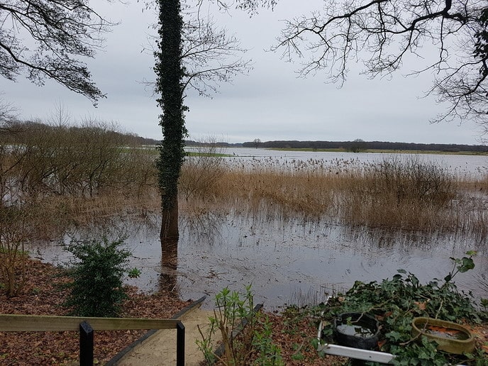 Hij is dr eindlijk uut - Foto: Gruune Jopie